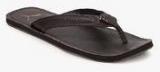 Puma Java III Ind. BROWN SLIPPERS men