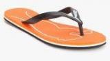 Puma Luca Men S Dp Black Flip Flops Men