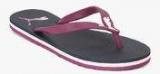 Puma Lucie V Graphic Idp Purple Flip Flops Women