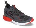 Puma Men Grey IGNITE Dual NETFIT Running Shoes