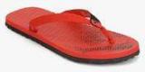 Puma Miami Fashion Dp Black Flip Flops Women