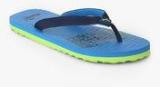 Puma Miami Fashion Ii Dp Blue Flip Flops men