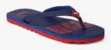 Puma Miami Fashion Ii Dp Navy Blue Flip Flops women