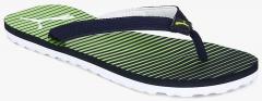 Puma Navy Blue Solid Thong Flip Flops men