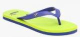 Puma Odius Dp Blue Flip Flops Men