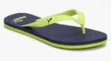 Puma Odius Dp Green Flip Flops Men