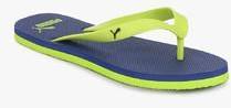 Puma Odius Dp Green Flip Flops women