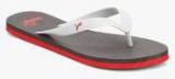 Puma Odius Dp Grey Flip Flops Men