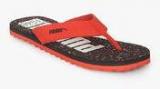 Puma Ray Idp Red Flip Flops women