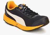 Puma Reef Fashion Dp Navy Blue Running Shoes women