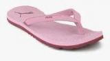 Puma Ribbons Idp Purple Flip Flops Women