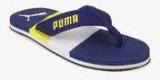 Puma Robby Idp Blue Flip Flops Men