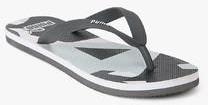 Puma Sam 2 Idp Grey Flip Flops women