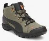 Puma Silicismid Hc Dp Olive Outdoor Shoes Men