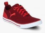 Puma Slyde Dp Maroon Sneakers Men