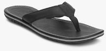 Puma Stan Dp Black Slippers men