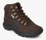 Puma Tatau Fur Boot 2 Idp Brown Outdoor Shoes men