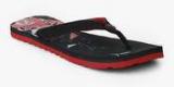 Puma Tide Idp Black Flip Flops Women