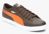 Puma Titan Sl Dp Coffee Sneakers Men