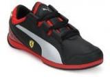 Puma Valorosso Sf Jr Black Running Shoes Boys