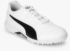 Puma Virat Kohli Evospeed One8 R White Cricket Shoes Men