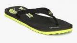 Puma Wave Ii Dp Black Flip Flops women