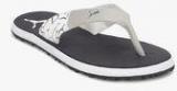 Puma Winglet Ii Dp Grey Slippers Men