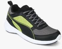 Puma Zen Evo Idp Grey Running Shoes men