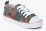 Ralph Lauren Harbour Low Multicoloured Sneakers Boys