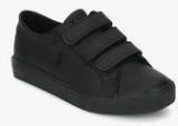 Ralph Lauren Scholar Ez Black Sneakers Boys