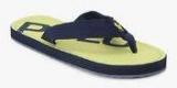 Ralph Lauren Theo Logo Navy Blue Flip Flops Boys