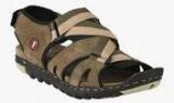 Real Blue Brown Sandals Men