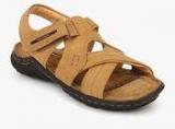 Red Chief Brown Sandals men