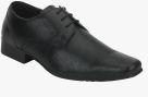 Red Tape Black Derbys Men