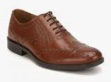 Red Tape Brown Oxford Brogue Formal Shoes men