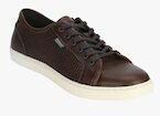 Red Tape Brown Synthetic Regular Sneakers Men