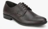 Red Tape Coffee Derby Formal Shoes men