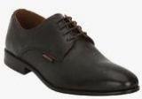 Red Tape Coffee Formal Shoes Men