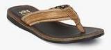 Red Tape Tan Slippers Men