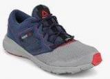 Reebok One Gtx Lite Grey Outdoor Shoes Men