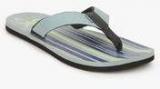 Reebok Printed Flip Blue Flip Flops Men