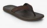 Rider Maiorca Ii Thong Ad Brown Flip Flops Men