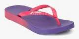 Rider Rio Fem Pink Flip Flops Women