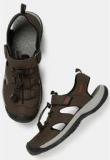 Roadster Brown Sandals Men