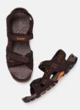 Roadster Brown Sports Sandals Girls