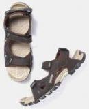 Roadster Coffee Brown Solid Sports Sandals Men