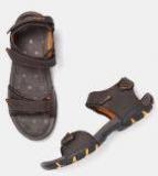 Roadster Coffee Brown Sports Sandals Men