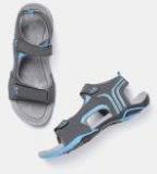 Roadster Grey & Blue Floaters Women