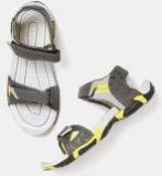 Roadster Grey Sports Sandals Men