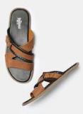 Roadster Tan Sandals Girls